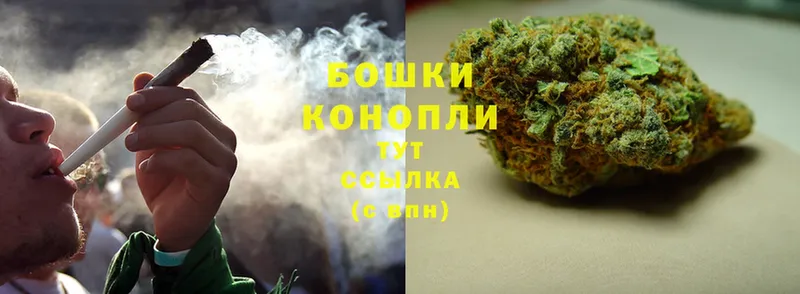 купить наркоту  Родники  Бошки марихуана семена 